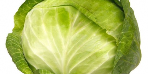 Da li je kupus moguć za trudnice: koristi i štete